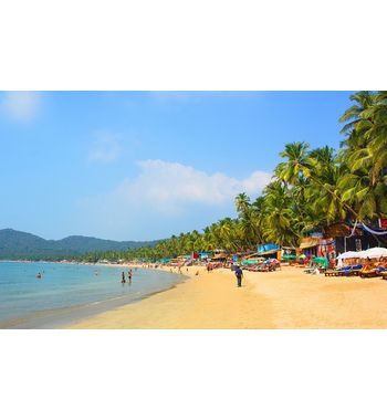 Прямой рейс в Гоа из Ташкента!